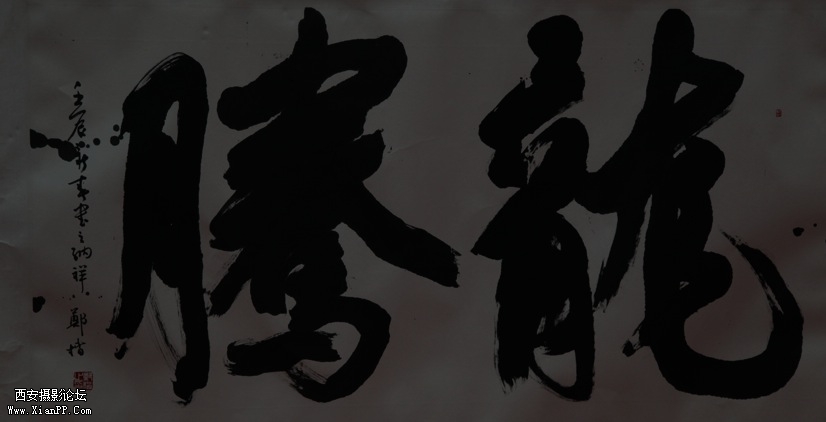 如龙一样腾飞发达