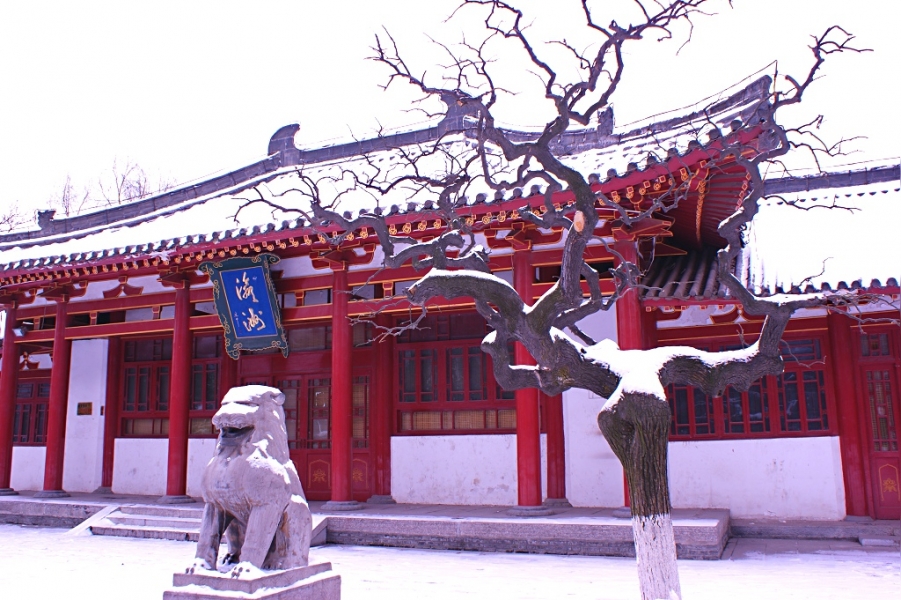 DSC02934.JPG