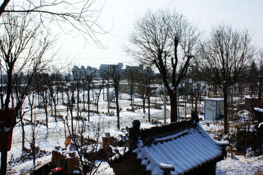 DSC02964.JPG