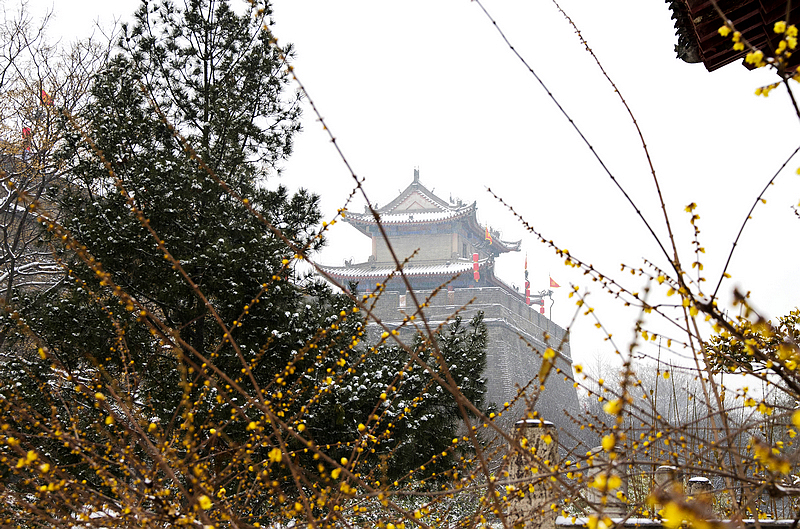 _IGP0841.jpg