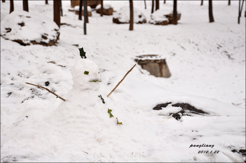 DSC_0016.jpg