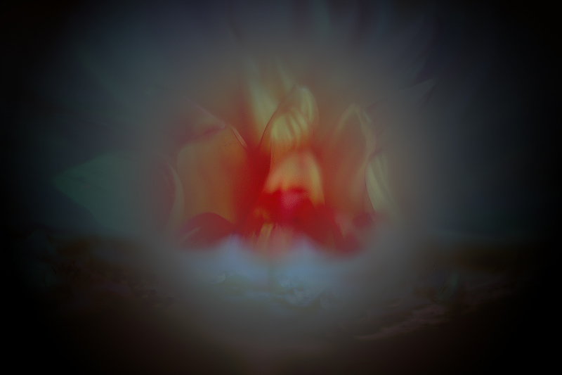 125523g3w1nwwj9kgmwtkn.jpg
