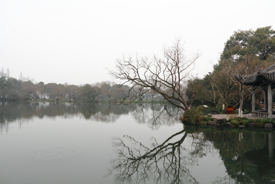 静静的西湖0004.JPG