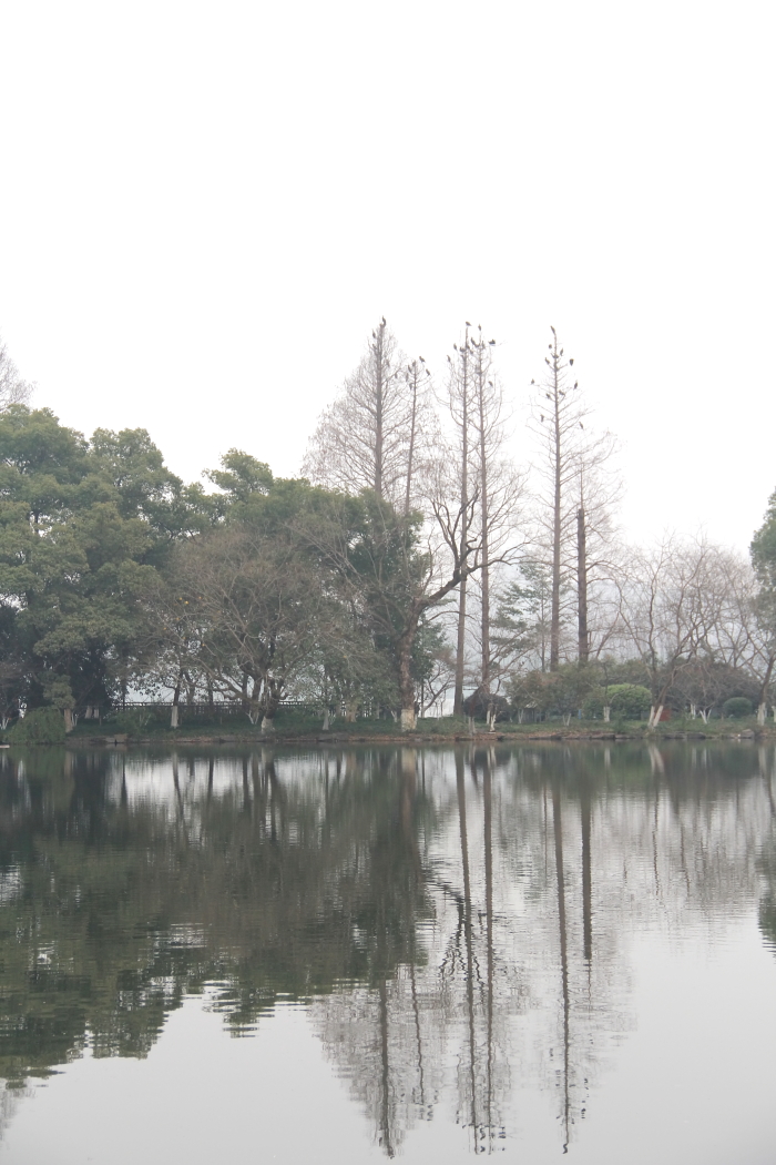静静的西湖0006.JPG