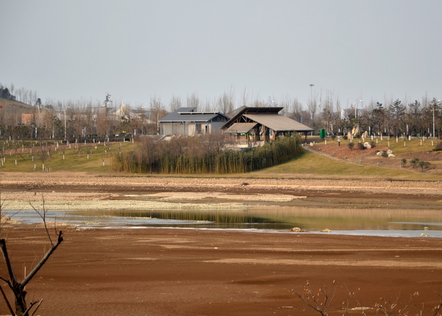 DSC_2534.JPG