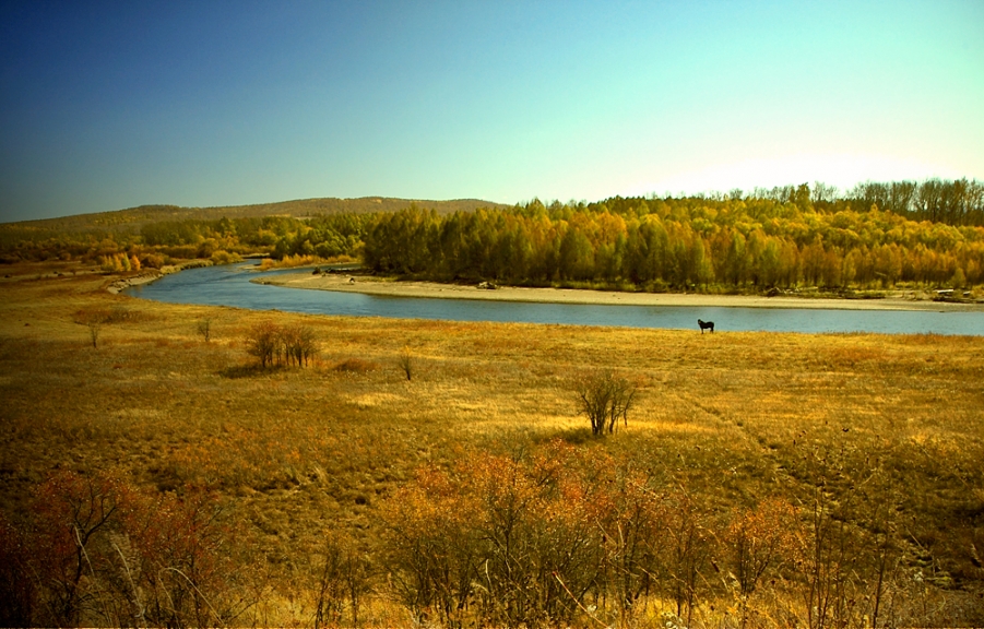 _MG_0021 - 副本 - 副本.jpg