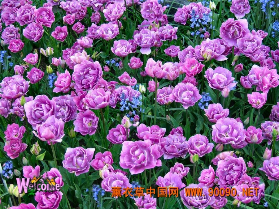 20090326182733850.jpg