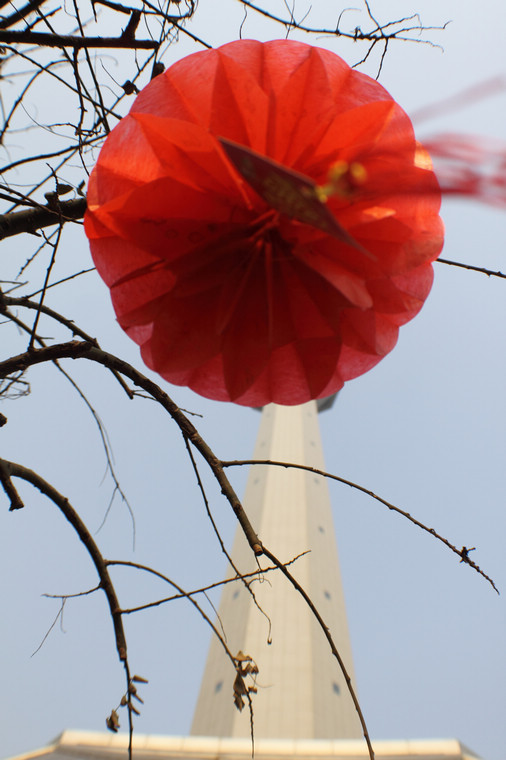 DPP_0087.jpg