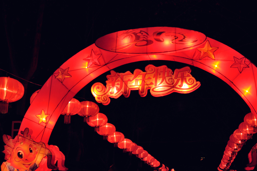 元宵佳节摄影 (13).jpg