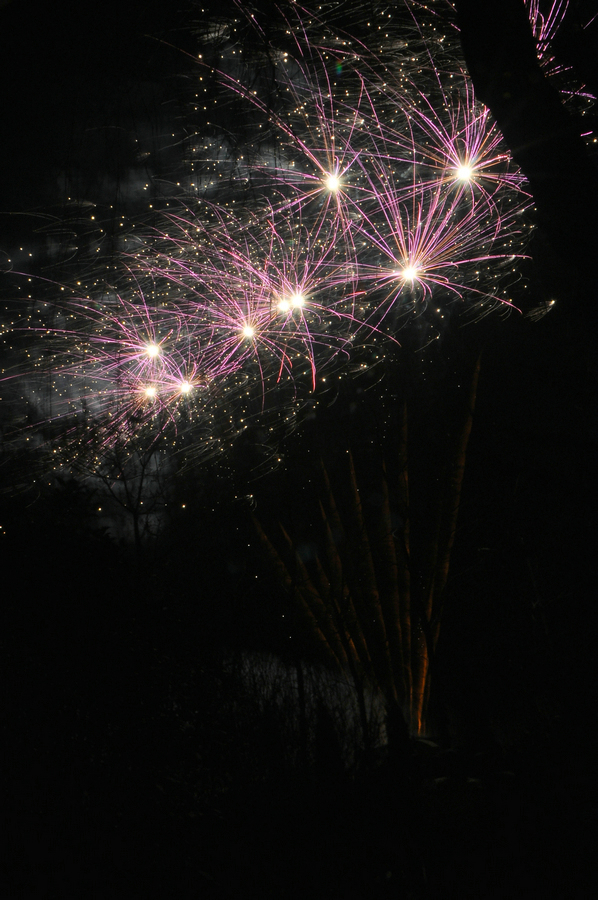 DSC_8875.jpg