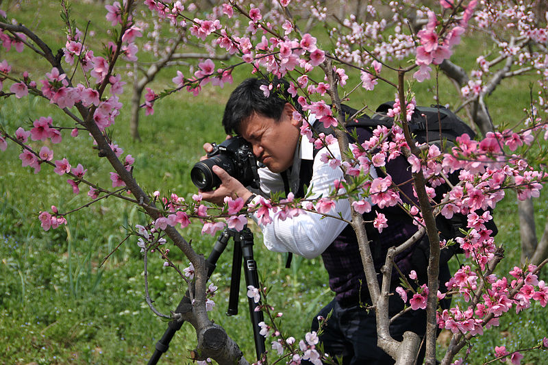 20110501_8b3d29f58aa699ebfbcbao1vLkfGAXzI.jpg