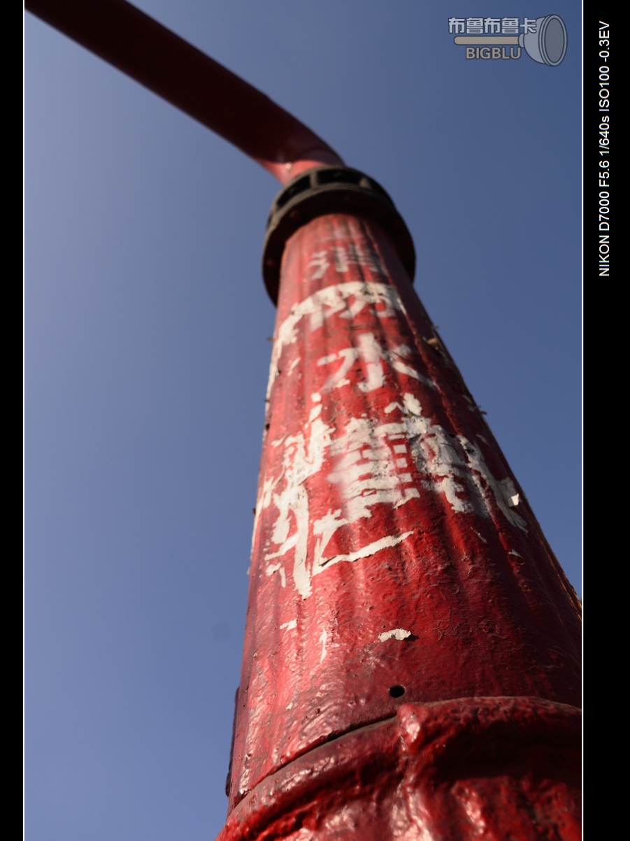 DSC_2509.jpg