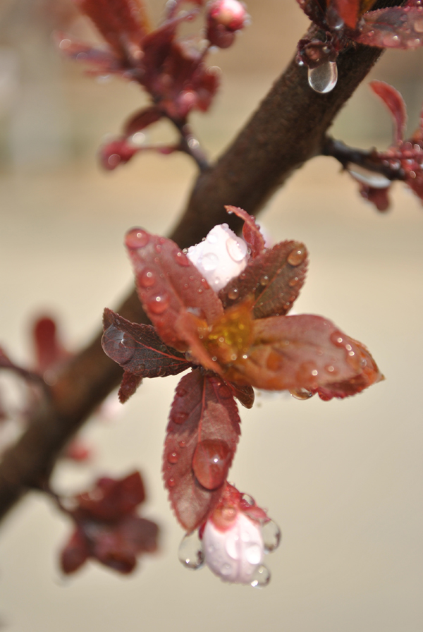 DSC_1691.JPG