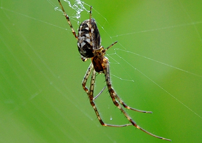dsc_0898_副本.jpg
