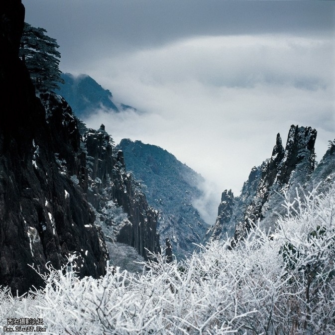 huangshan5-673x673.jpg