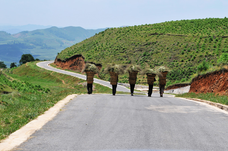 11《背影》黎锐明s.jpg