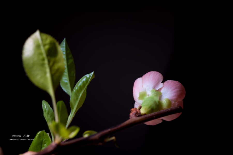 DSC_80221.jpg