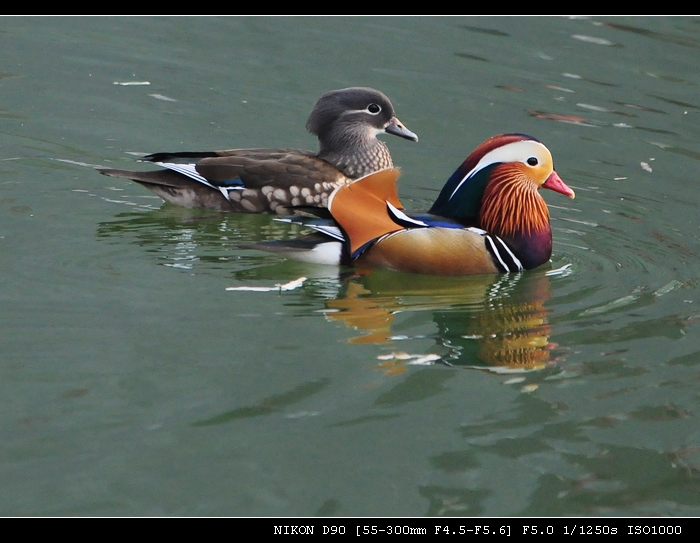 DSC_0107.JPG