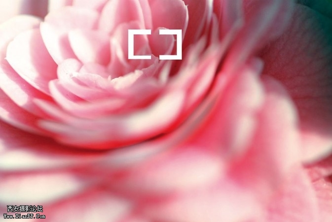 flower10-673x451.jpg