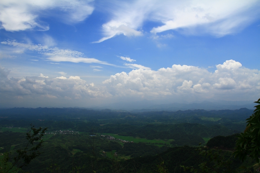 IMG_6243.jpg