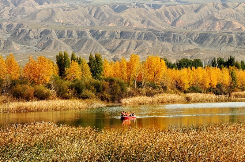a12244244_s.jpg