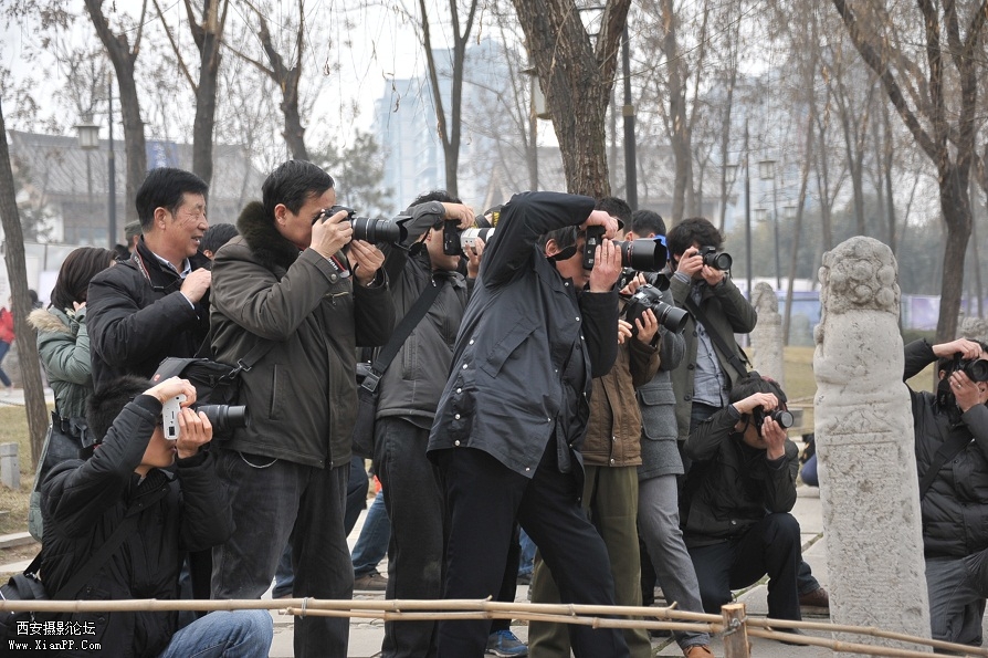 DSC_2853.JPG