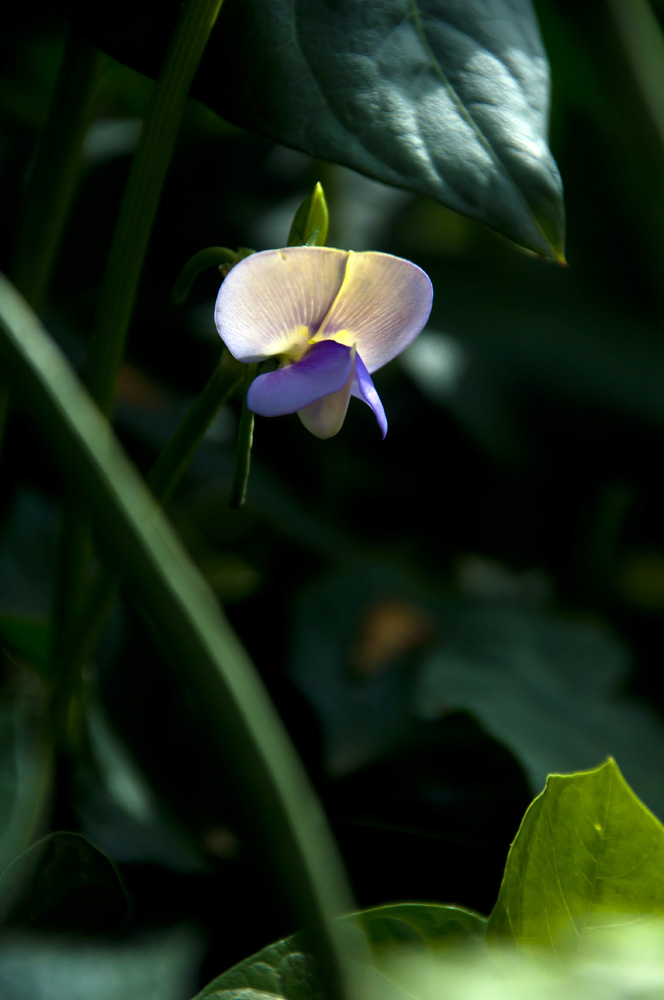 47848ec24ab421e5355f8&690.jpg