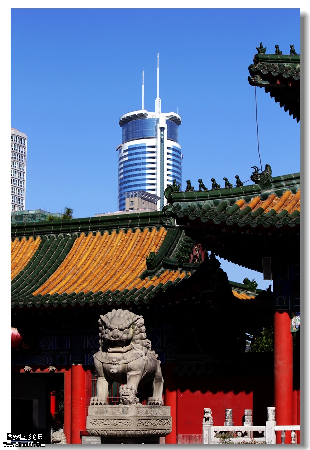 nEO_IMG_2011.10.16兴善寺--完美 030.jpg