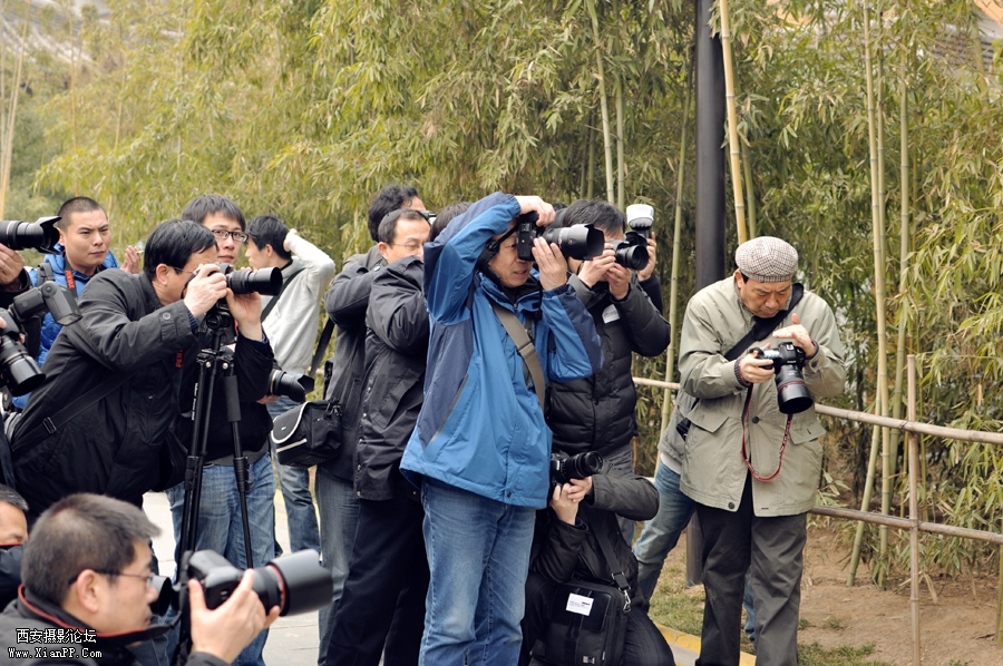 南湖取景 (22).jpg