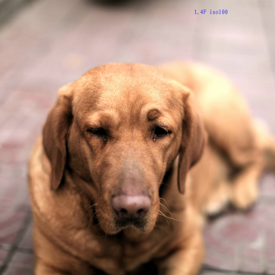nEO_IMG_IMG_7384.jpg