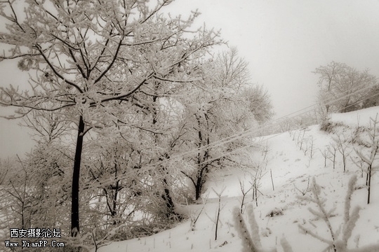 绥德雪景