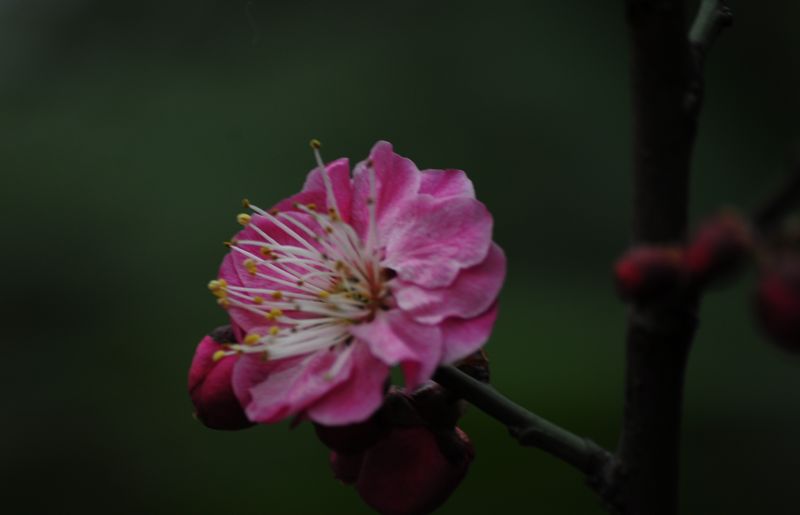 照片 019101.jpg