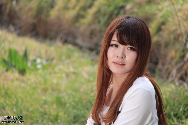 艺术区作业作业