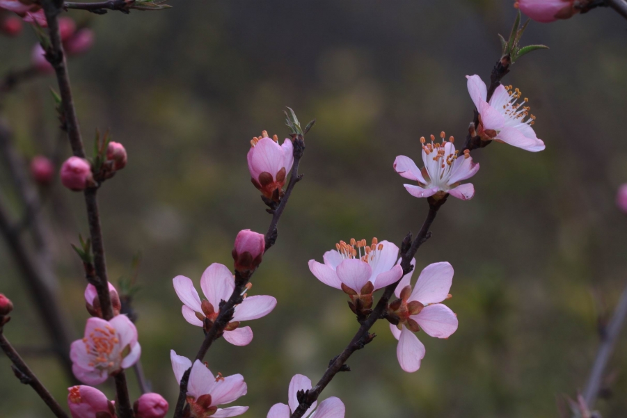 调整大小 IMG_4791.JPG