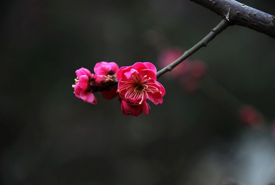 DSC_0728.JPG