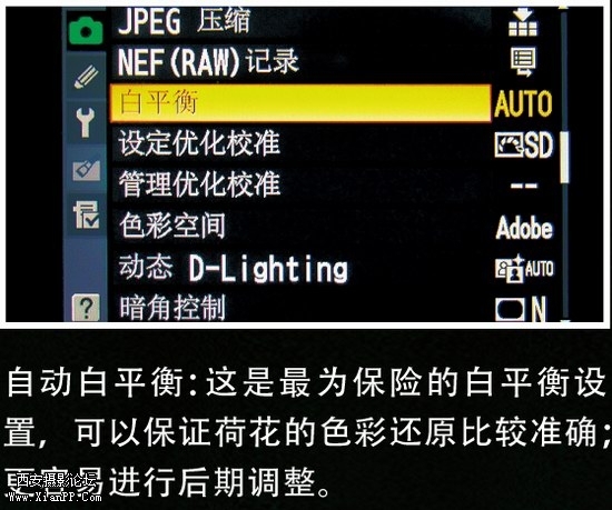 ht-3.jpg