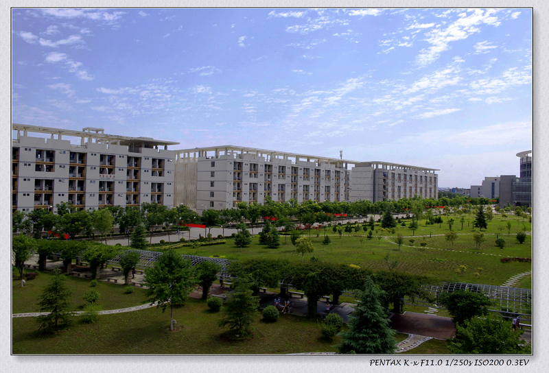 _IGP2578_conew1.jpg
