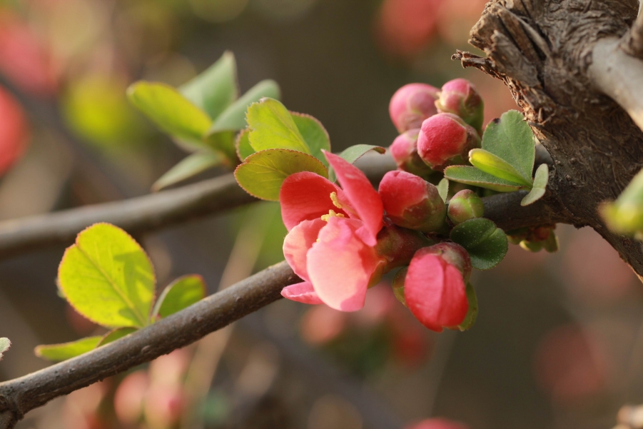 调整大小 IMG_4873.jpg