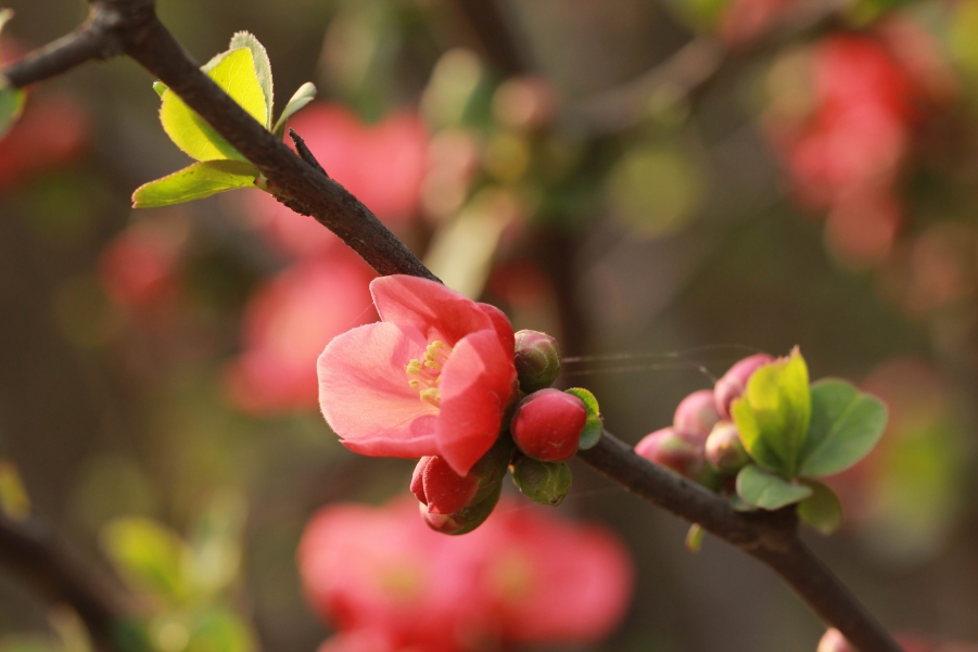 调整大小 IMG_4878.jpg