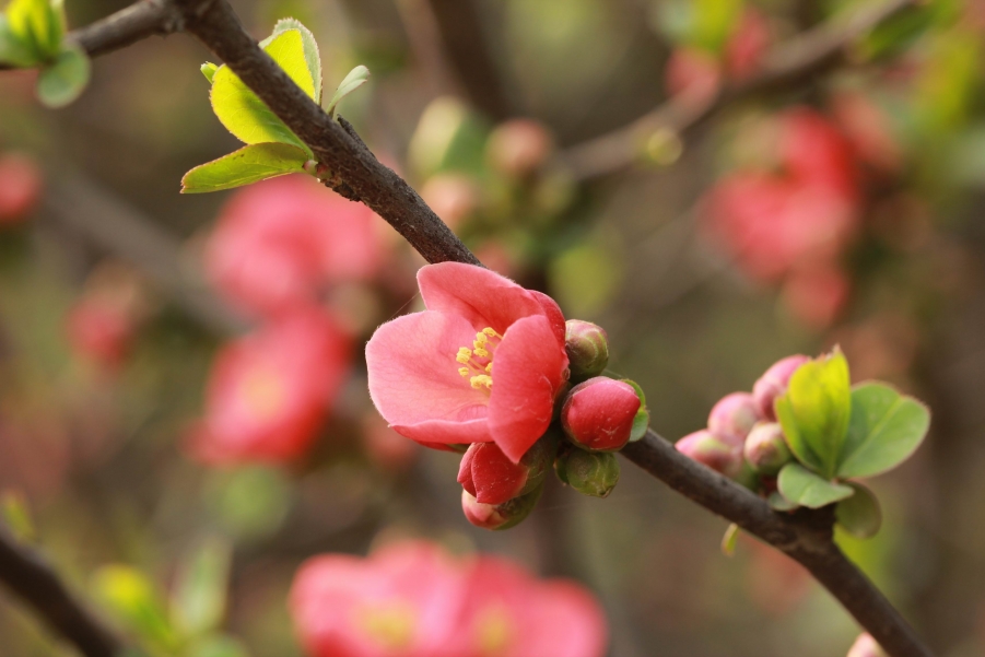 调整大小 IMG_4885.jpg