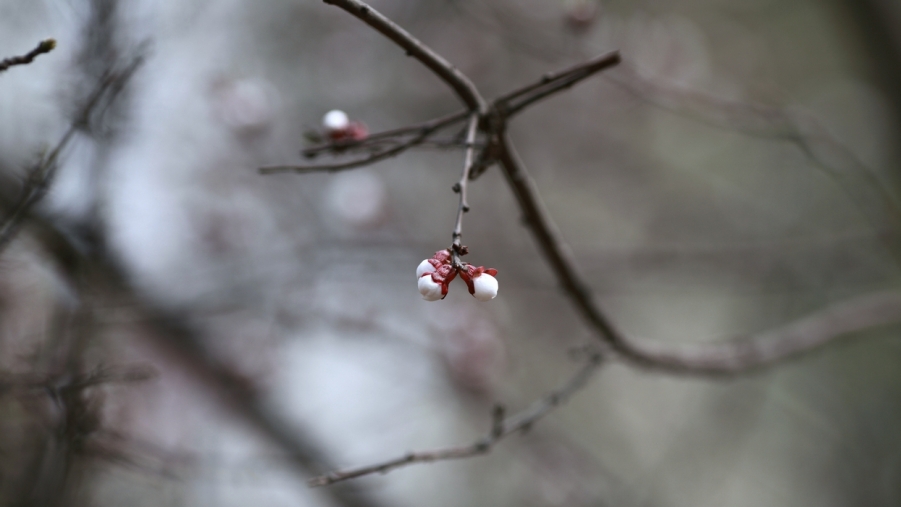 nEO_IMG_0327 小孩子的吃相04.jpg