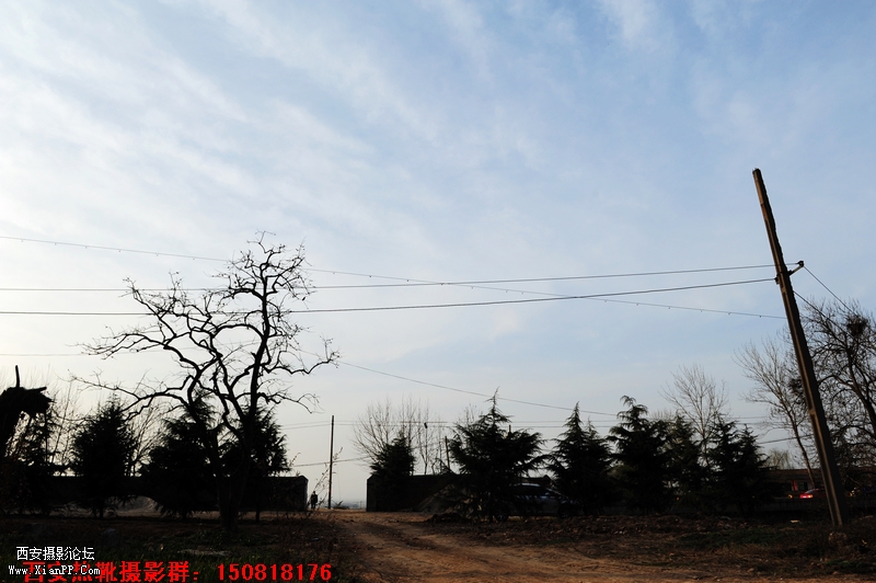 DSC_5868.jpg