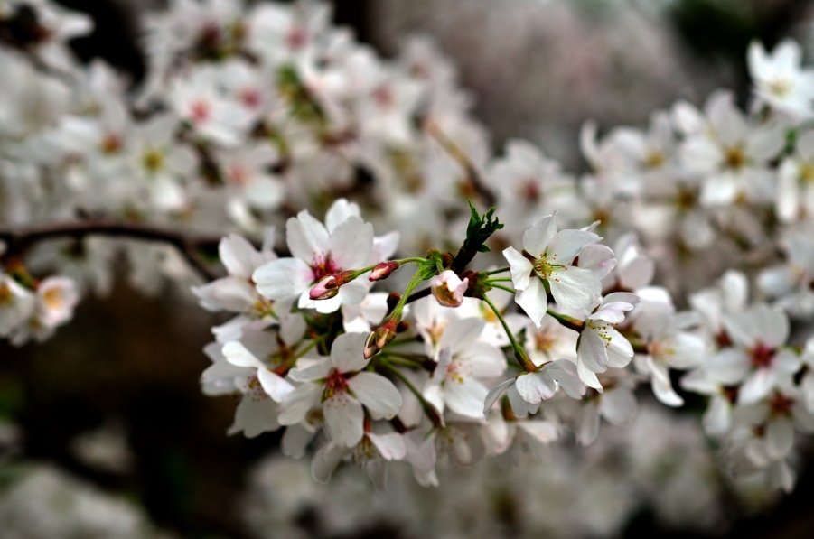 20120329 075.jpg