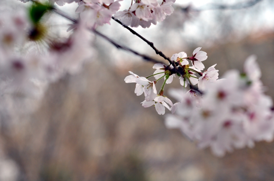 20120329 101.jpg