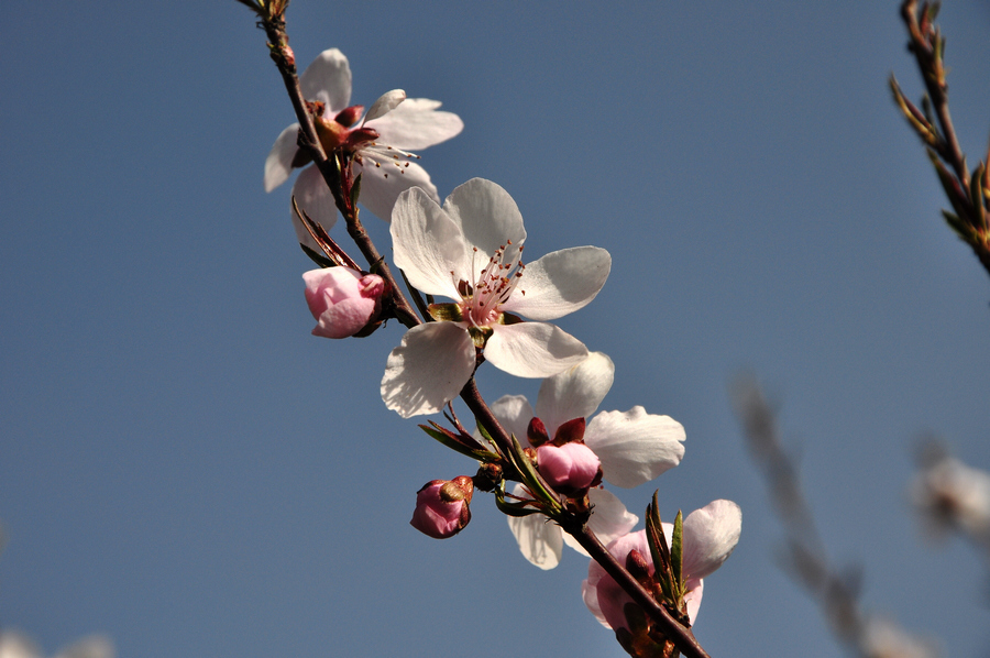 DSC_0160xz.jpg