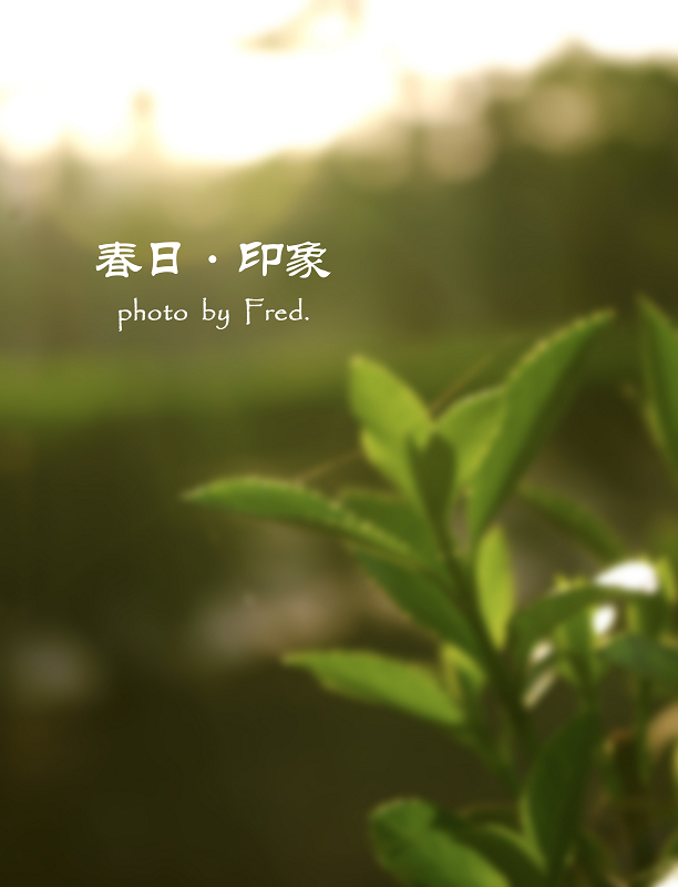 IMGP938911.jpg