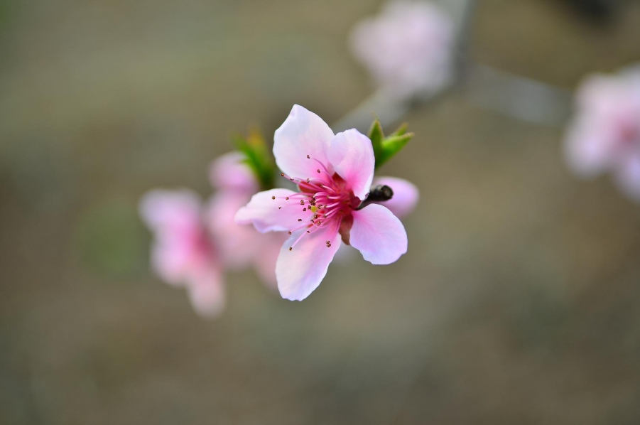 复件 照片 693.JPG