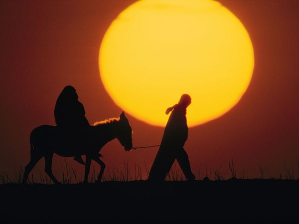 sunset-silhouette-israel-nebbia_49047_600x450.jpg