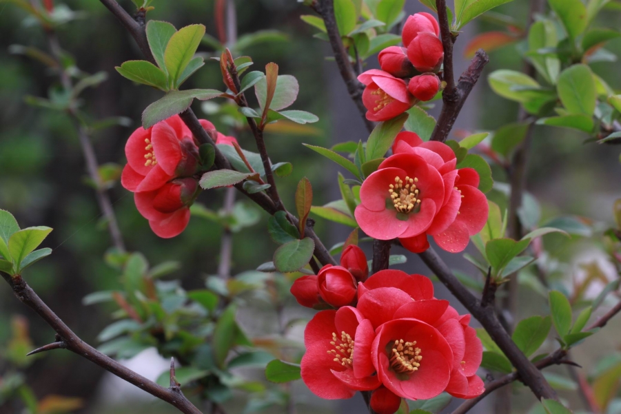 调整大小 IMG_5021.JPG