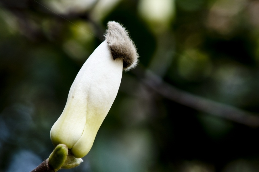 DSC_3919_调整大小.jpg